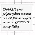 2022年論文発表|TMPRSS2 gene polymorphism common in East Asians confers decreased COVID-19 susceptibility