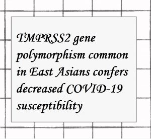 2022年論文発表｜TMPRSS2 gene polymorphism common in East Asians confers decreased COVID-19 susceptibility
