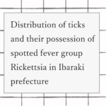 2024年論文発表|Distribution of ticks and their possession of spotted fever group Rickettsia in Ibaraki prefecture
