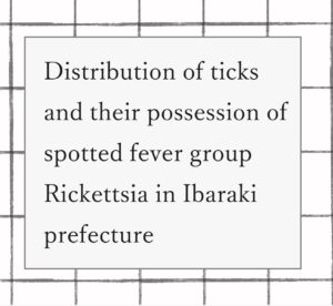 2024年論文発表｜Distribution of ticks and their possession of spotted fever group Rickettsia in Ibaraki prefecture