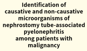 2025年論文発表｜Identification of causative and non-causative microorganisms of nephrostomy tube-associated pyelonephritis among patients with malignancy